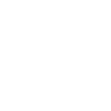 insight icon